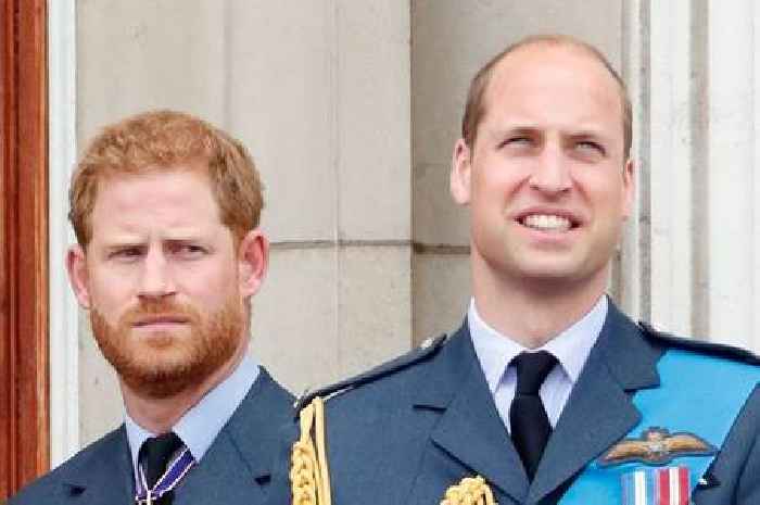 Prince Harry left heartbroken by 'sad day' as William says he's deeply saddened'