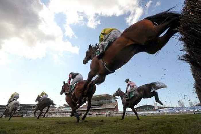 Grand National Festival 2023 day one tips as Garry Owen goes for Conflated in the Aintree Bowl