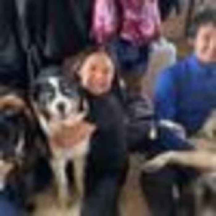 Alaskan dog survives epic 150-mile trek across frozen sea ice