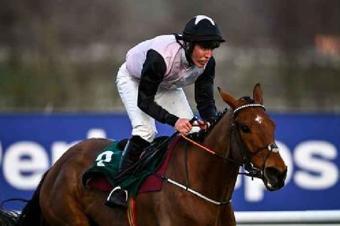 'Ain't That A Shame has a great chance in the Grand National - he ticks a lot of boxes'