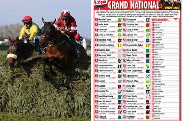 Grand National 2023 free sweepstake kit: Download and print all 40 runners & riders