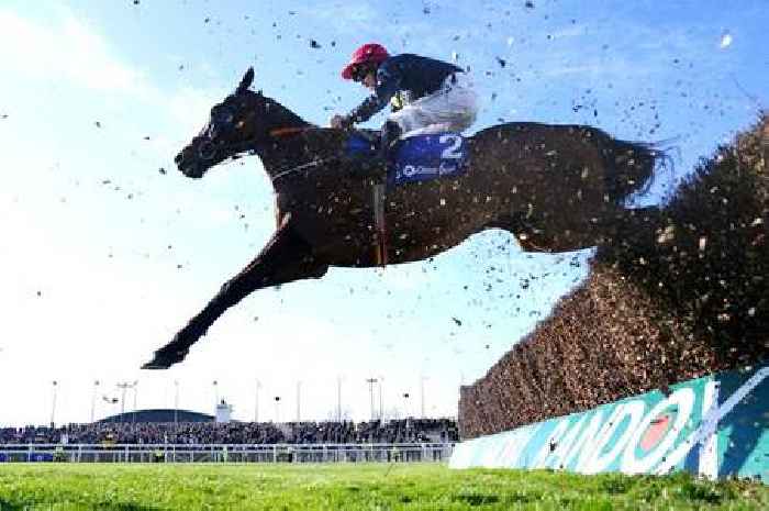 Animal rights activists plan to scale Aintree fences and disrupt Grand National