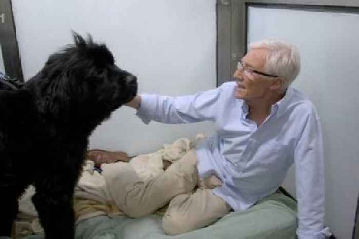 ITV Paul O'Grady For The Love Of Dogs viewers in tears at his goodbye filmed before sudden death