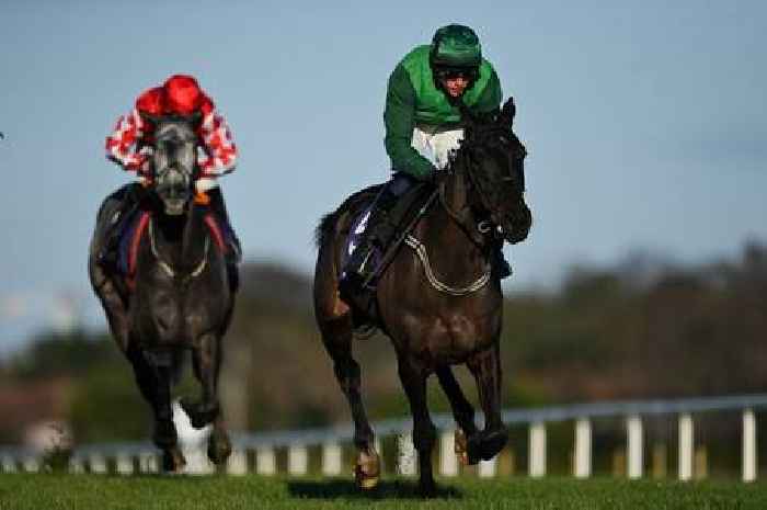 Dark Raven dies at Grand National Festival and is 2nd horse put down at Aintree