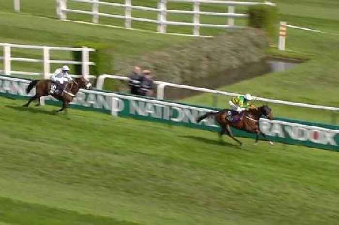 Grand National Festival horse who was 199/1 makes everyone else 'look like idiots'