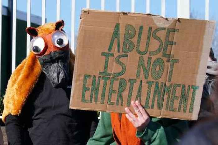 Grand National at risk as animal rights protesters 'will scale fences to stop race'