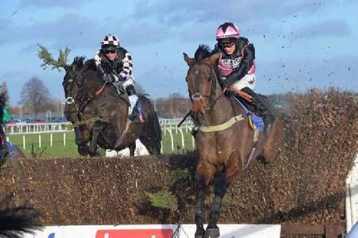 Grand National horse Hill Sixteen dies following fall during Aintree race