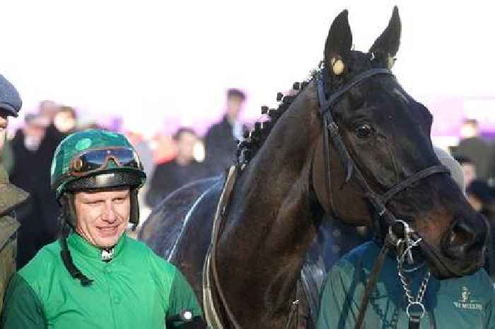 Second horse dies at Grand National as Dark Raven falls