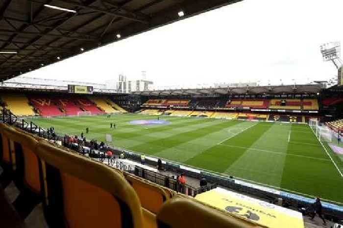 Watford vs Bristol City live: Build-up, team news and updates from Vicarage Road