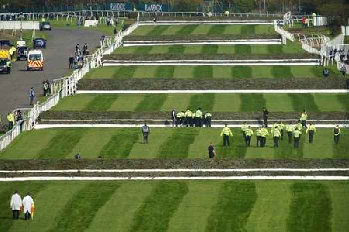 Grand National delayed after protestors make it onto course