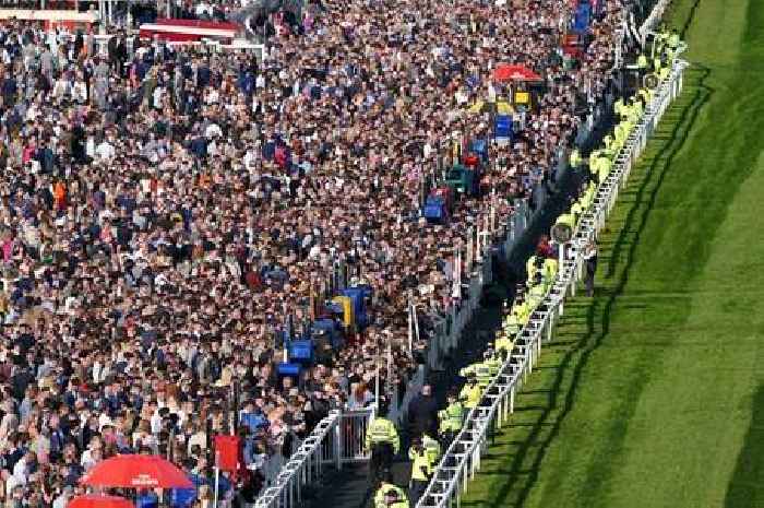 Grand National protest: Police arrest 118 people as race delayed at Aintree