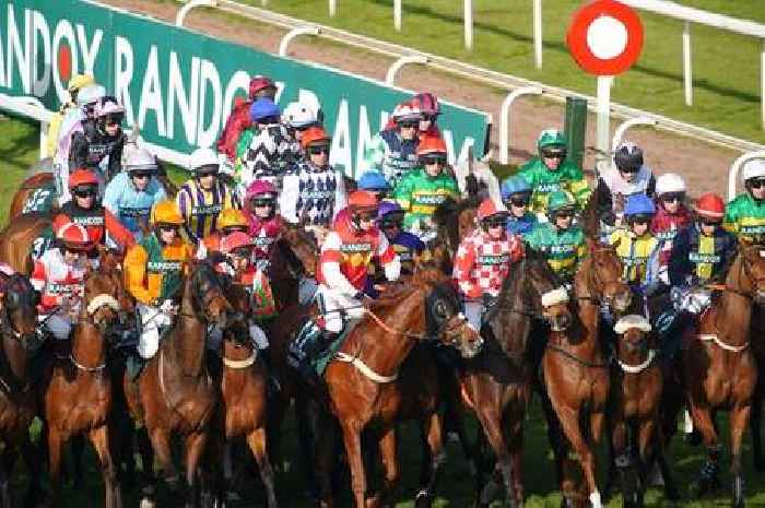 How many horses died or were injured in the 2023 Grand National?