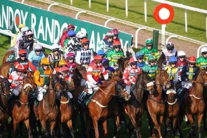 Where did my horse finish in the Grand National 2023 at Aintree?