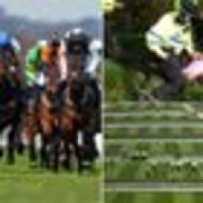 'A disgrace': Animal rights groups call for jump racing ban after three horses die at Aintree