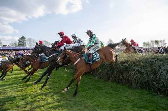 Grand National horse death blamed on 'ignorant' animal rights protesters