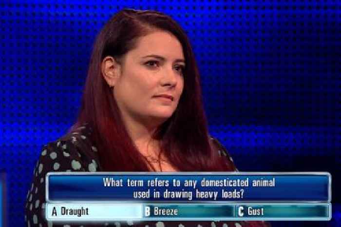 Scots The Chase contestant in 'worst team ever' with smallest collective score and three lower offers