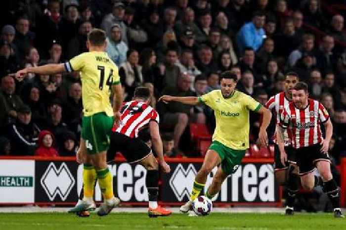 Nigel Pearson pinpoints Bristol City Achilles heel as Sheffield United loss highlights weakness
