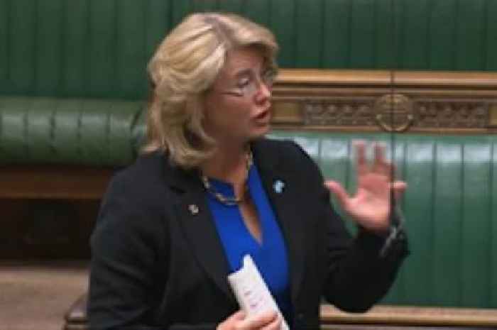 Essex MPs Anna Firth and Mark Francois call for gun-style licensing laws for machetes