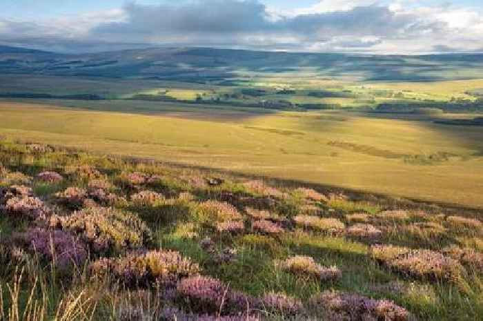 Final parts of Langholm Moor sold to Oxygen Conservation
