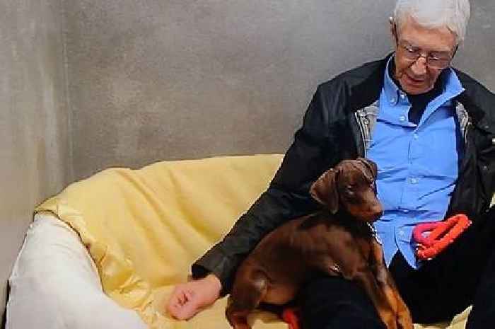 Viewers of Paul O'Grady For The Love of Dogs pay moving tributes as the episode airs on day of funeral