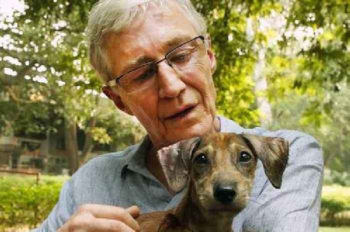 Dogs from Battersea charity to form guard of honour ahead of Paul O’Grady’s funeral