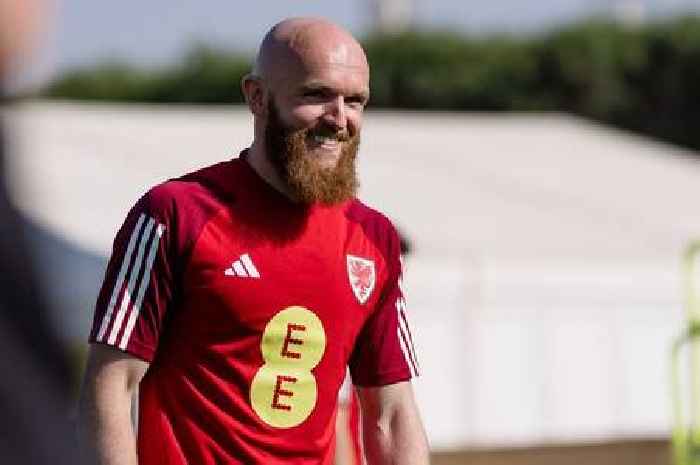 Jonny Williams in Hibs transfer talks as Lee Johnson hopes it's second time lucky for Welsh wizard