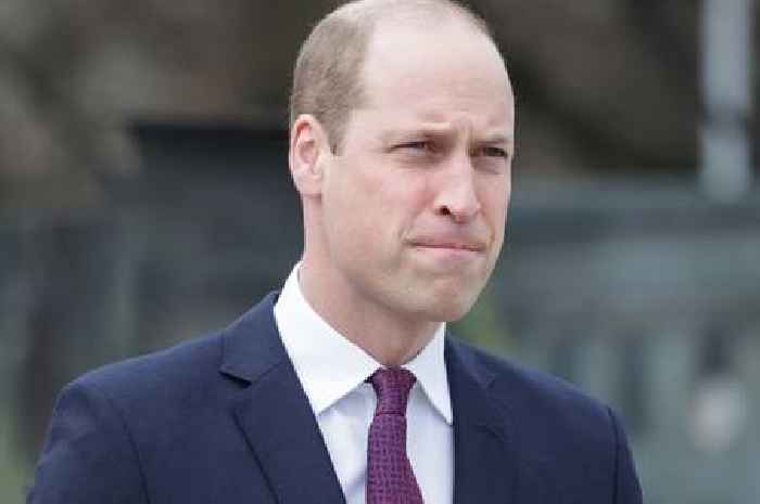 Nippy Prince William dubbed 'difficult' to work with claims royal expert