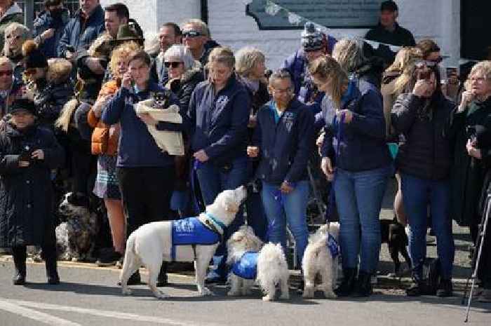 Rescue dogs form guard of honour for Paul O'Grady's funeral procession