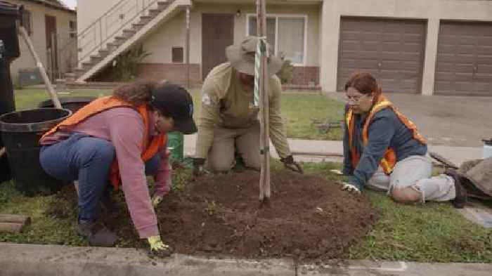 Southern California group is planting trees to beat the heat