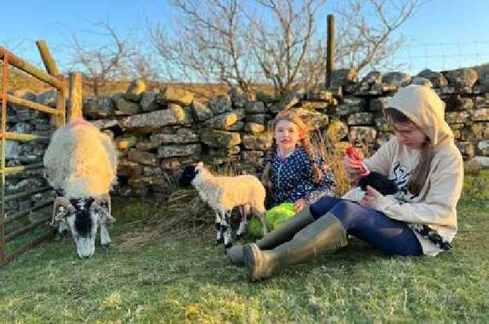 Our Yorkshire Farm's Amanda Owen breaks silence after Clive takes blame for split in TV interview