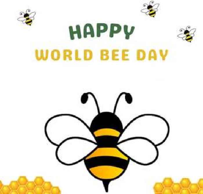  Hope Spring Announces Free Bee eCards on World Bee Day