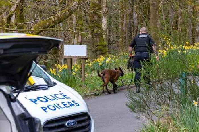 Cops swarm Mugdock Country Park in search for missing person as dogs drafted in