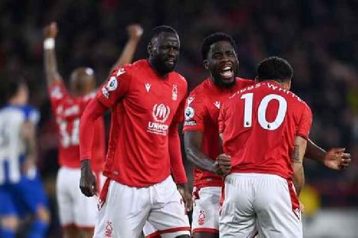 Aurier, Worrall, Kouyate - Nottingham Forest predicted XI for crucial Brentford clash