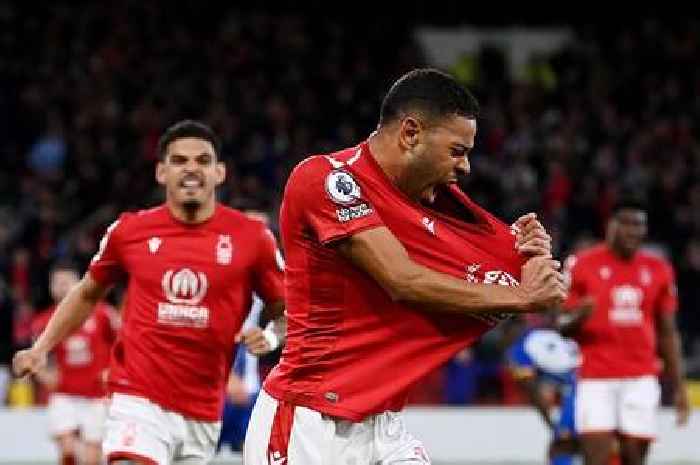 'Survival mojo' - National media verdict on Nottingham Forest win against Brighton
