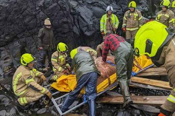 Cow stuck at bottom of cliff rescued by Scots firefighters after battle against incoming tide