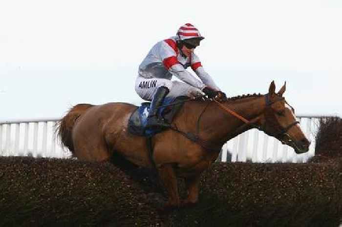 Allotment-raised racehorse Dream Alliance who famously won Welsh Grand National against the odds dies aged 22