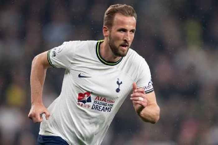 Tottenham offered chance to sign perfect Harry Kane replacement in bargain summer transfer