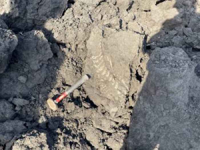 Alberta’s Oldest Plesiosaur Fossil Found at Suncor Operated Mine Site