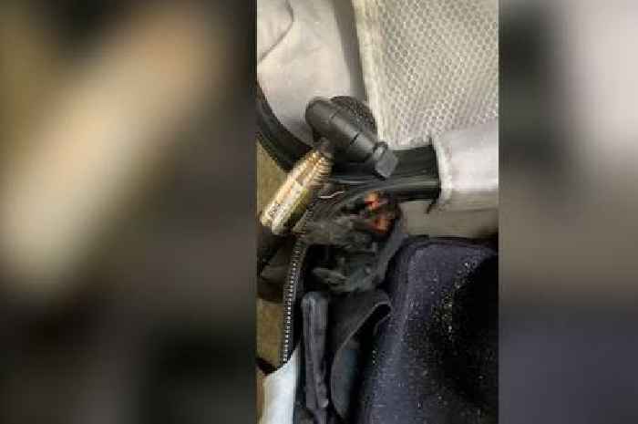Man returning from holiday in Mexico finds tarantula in his suitcase