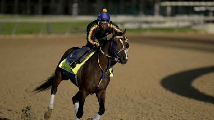 Kentucky Derby trainer suspended after deaths of 2 of his horses