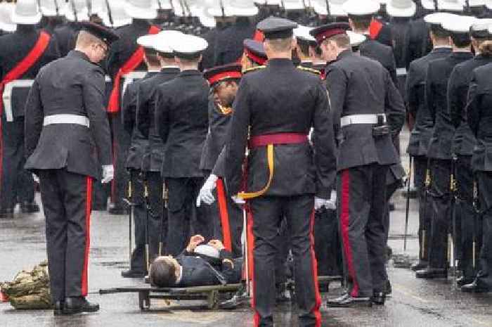 Member of military collapses at coronation