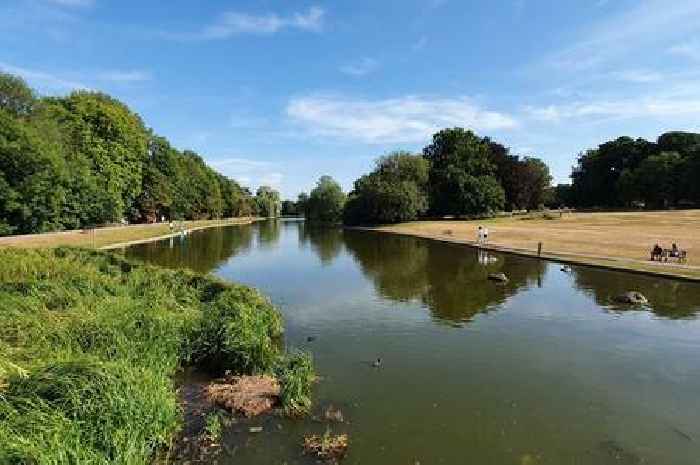 Four quiet Hertfordshire walks to enjoy if you want an escape away from Coronation parties