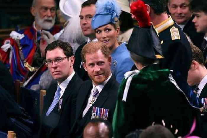 Claims Prince Harry's face was deliberately blocked by feather in aunt's hat at coronation