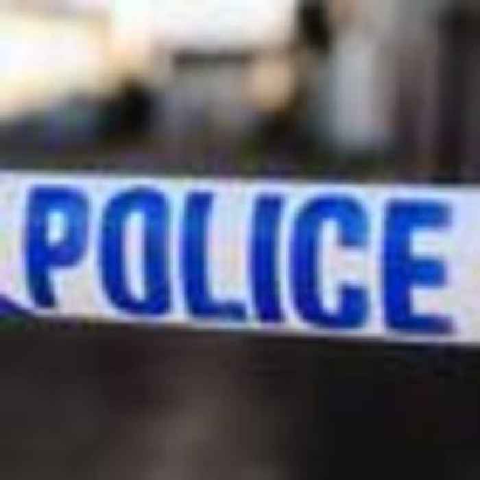 Met defends officers after man tasered and dogs shot dead in front of witnesses