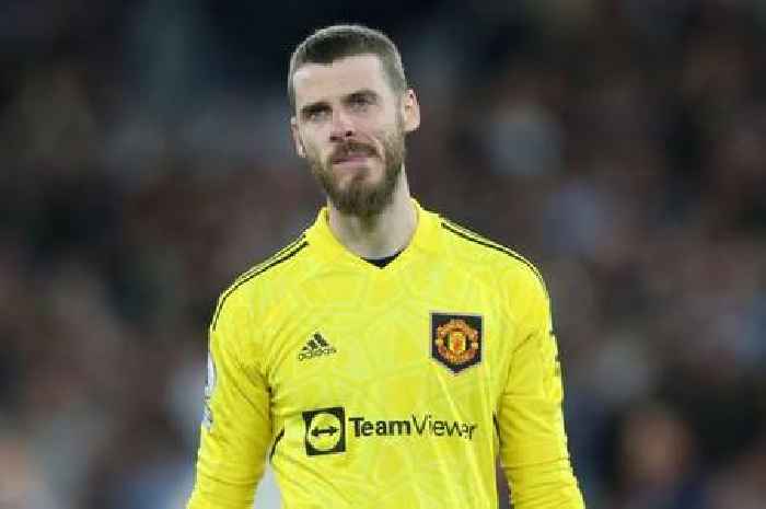 Man Utd to target England ace if David de Gea leaves Old Trafford this summer