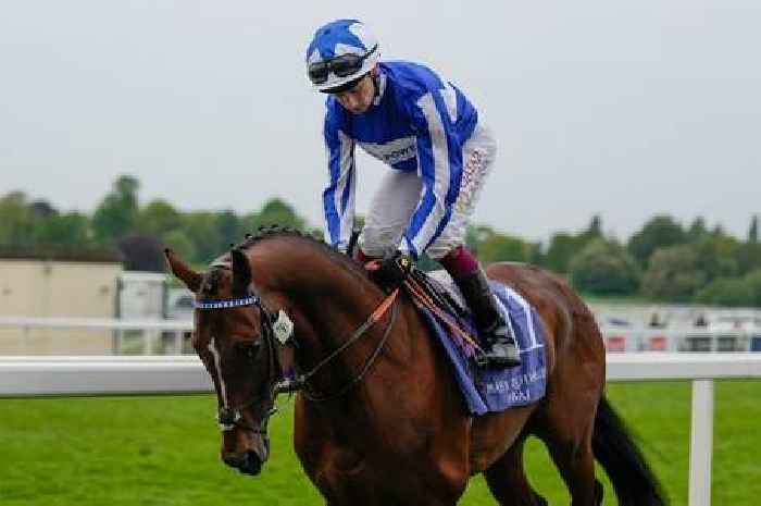 King Power experience rare win as Leicester City jockey for Premier Leaguer safety