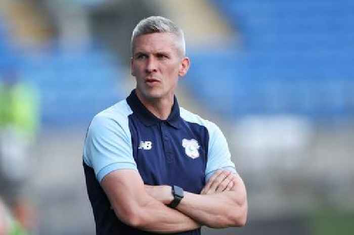Steve Morison under serious consideration by Vincent Tan for shock re-hiring as Cardiff City manager