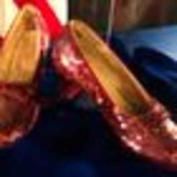 Man charged with stealing The Wizard of Oz ruby slippers worn by Judy Garland