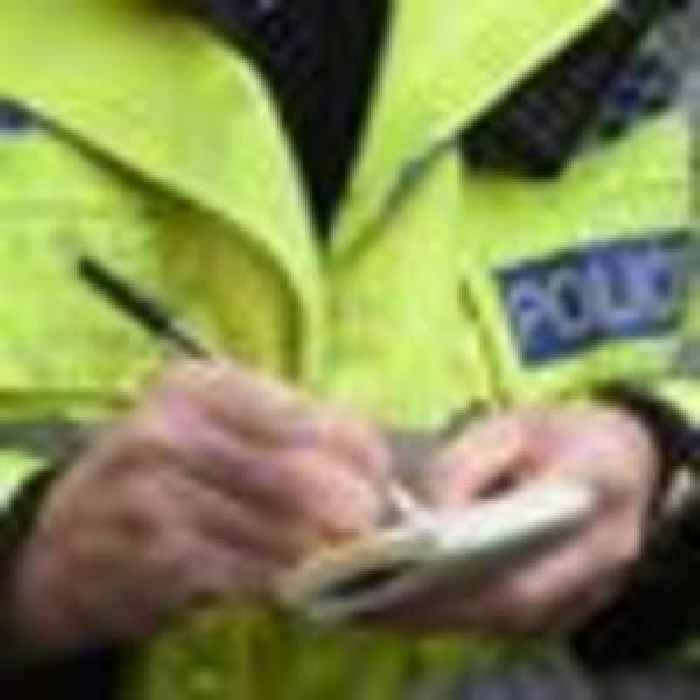 Policeman sent 'shocking' racist message, contacted prostitutes, and went for an on-duty waxing, hearing told