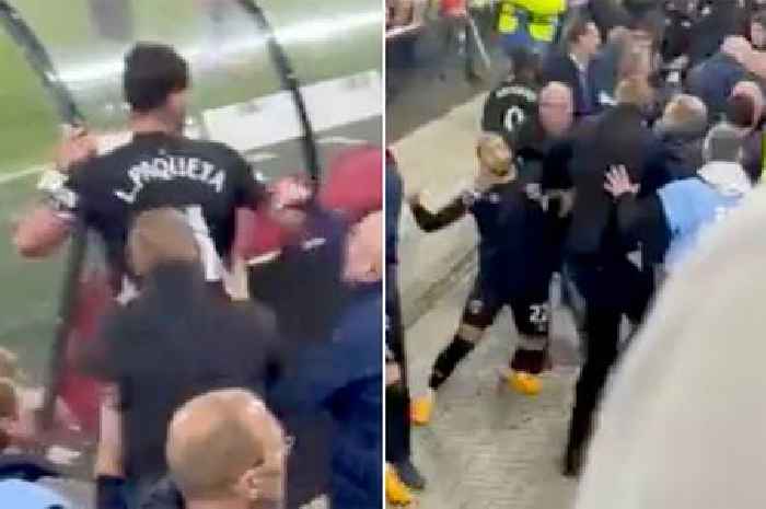 Furious West Ham stars rush to protect families and scrap with stewards and fans